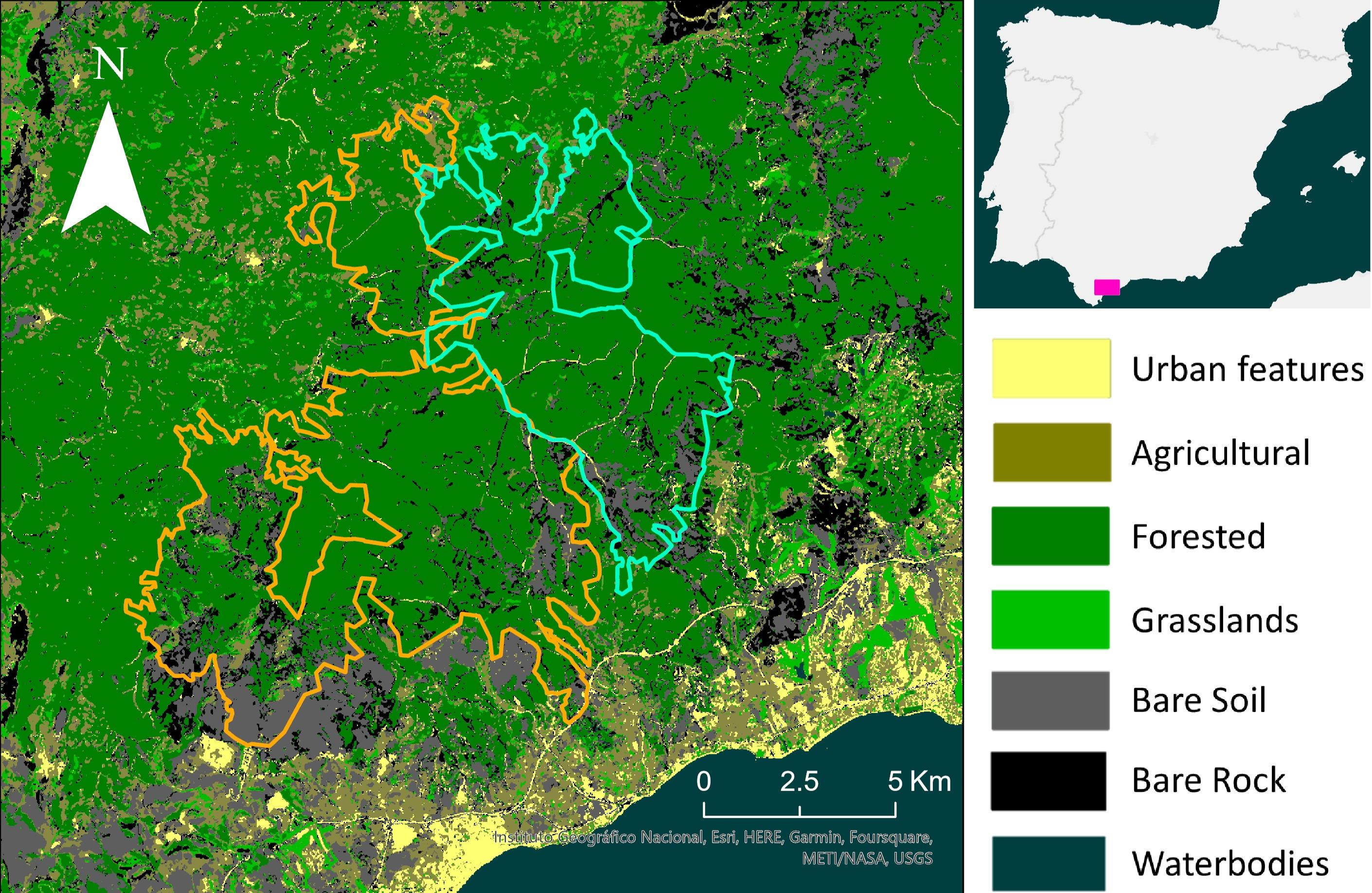 Land cover classification for Malaga wildfire study areas